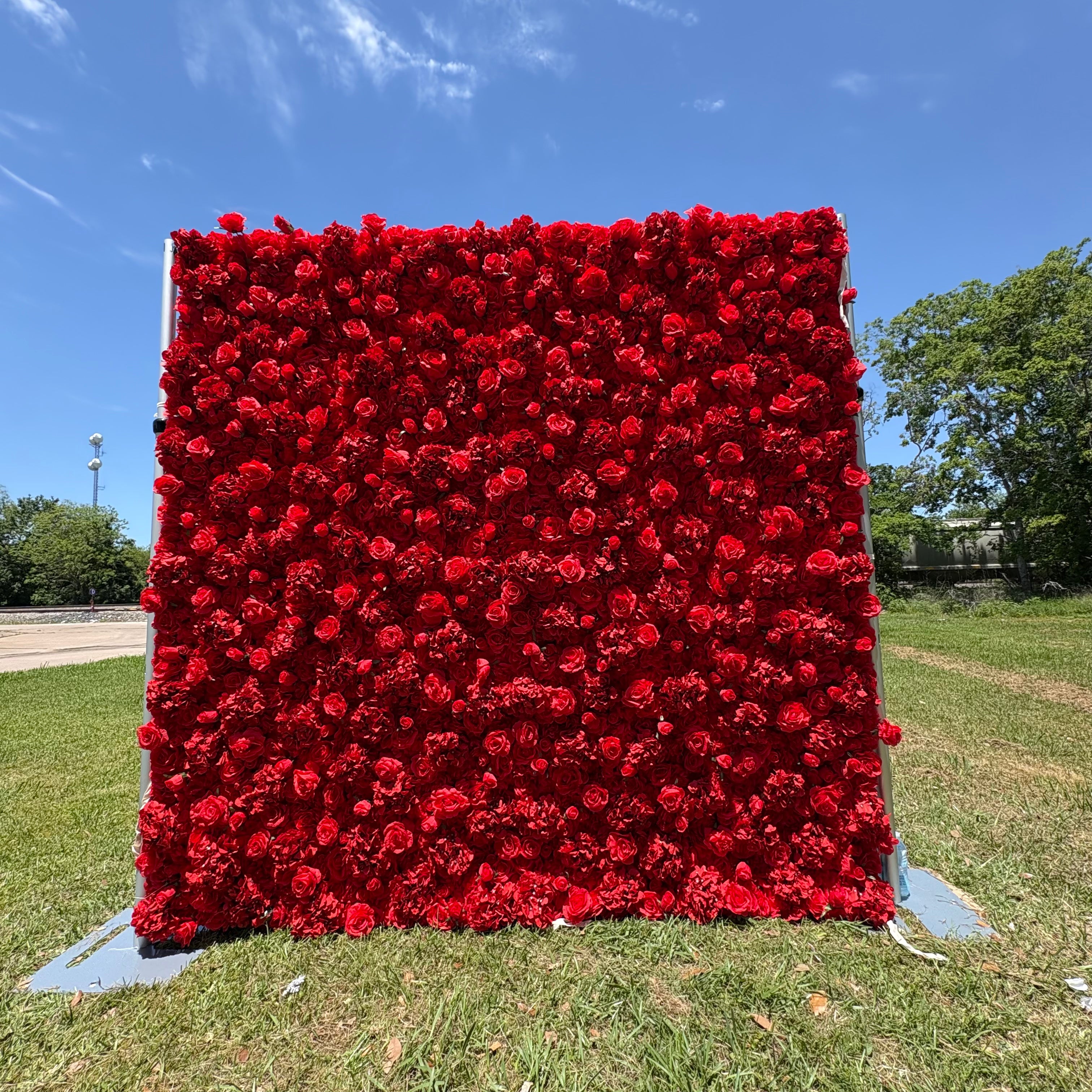 Red Rose Wall -- Floral Backdrop for Celebration