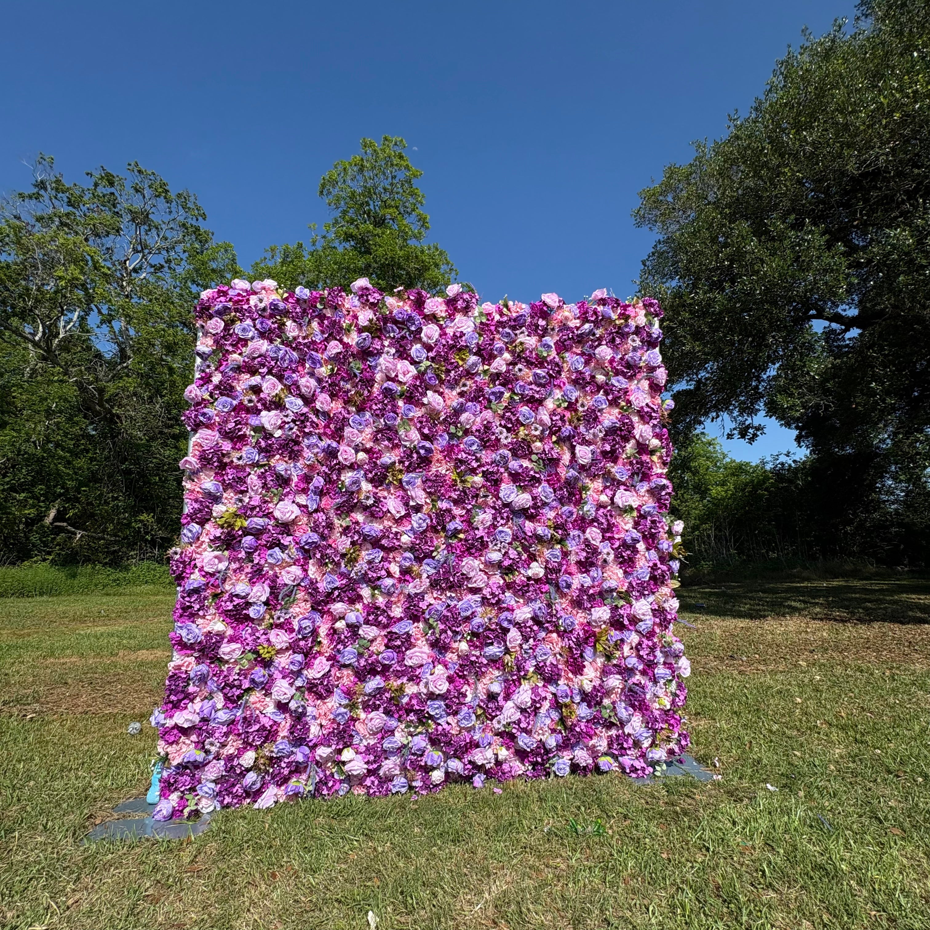 Mysterious Purple & Soft Blush Rose Wall