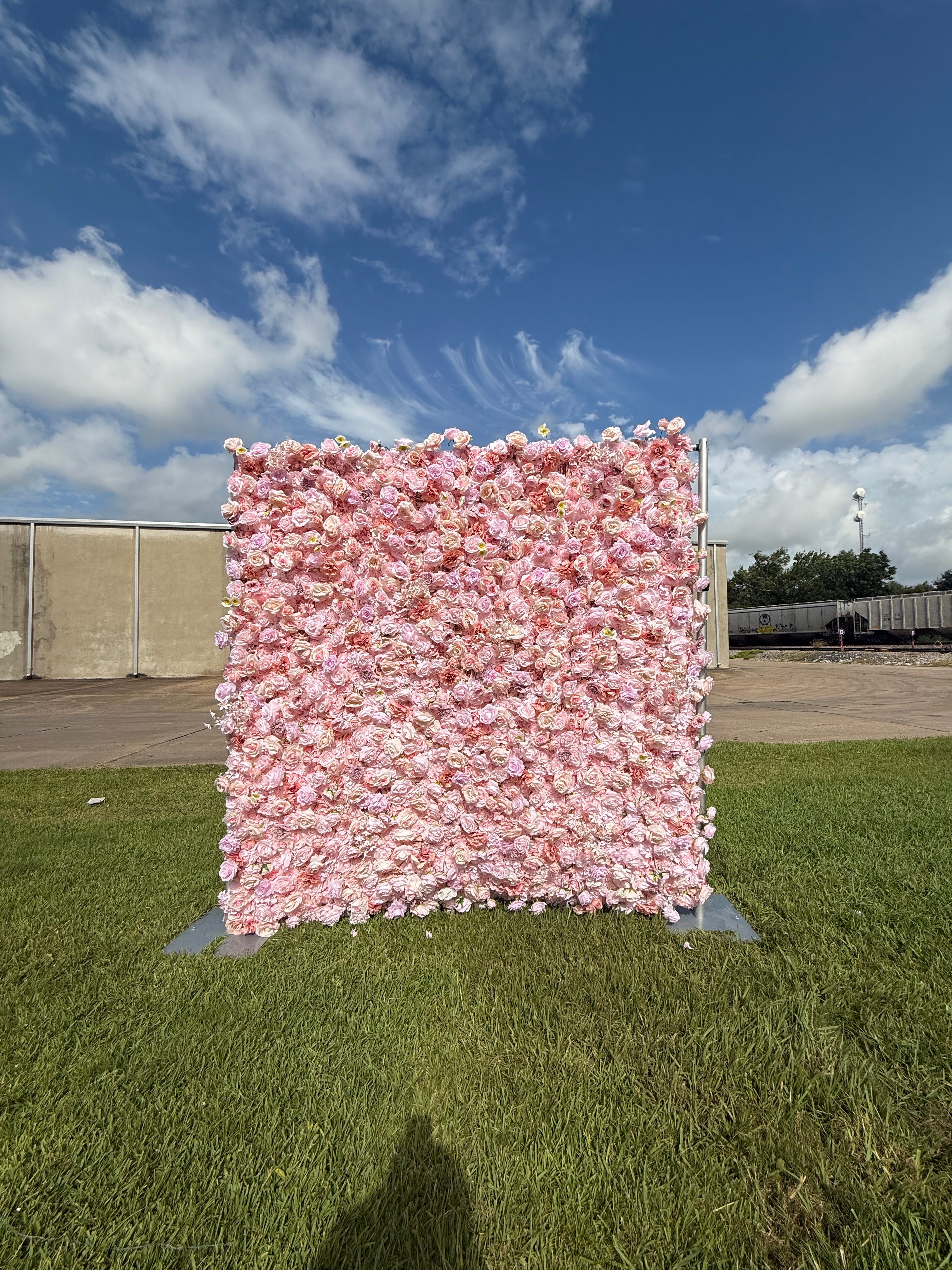 Romantic Blush Rose Wall for Your Important Moment