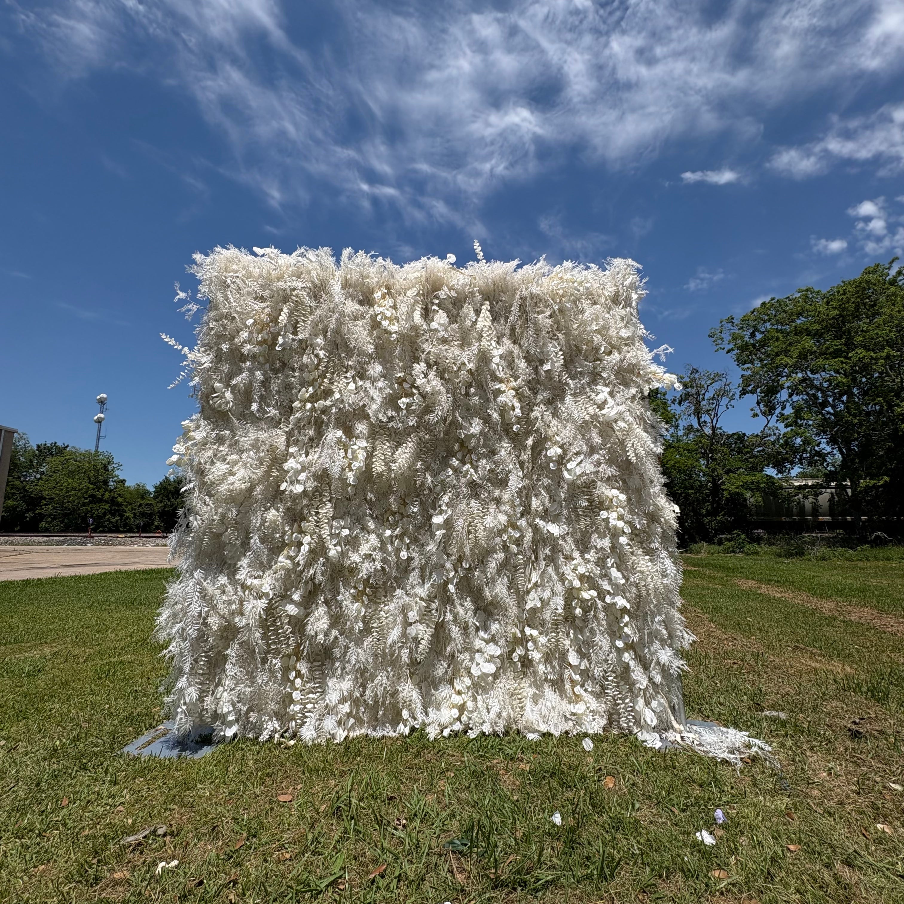 Delicate Feather-Shaped Blossoms Floral Backdrop