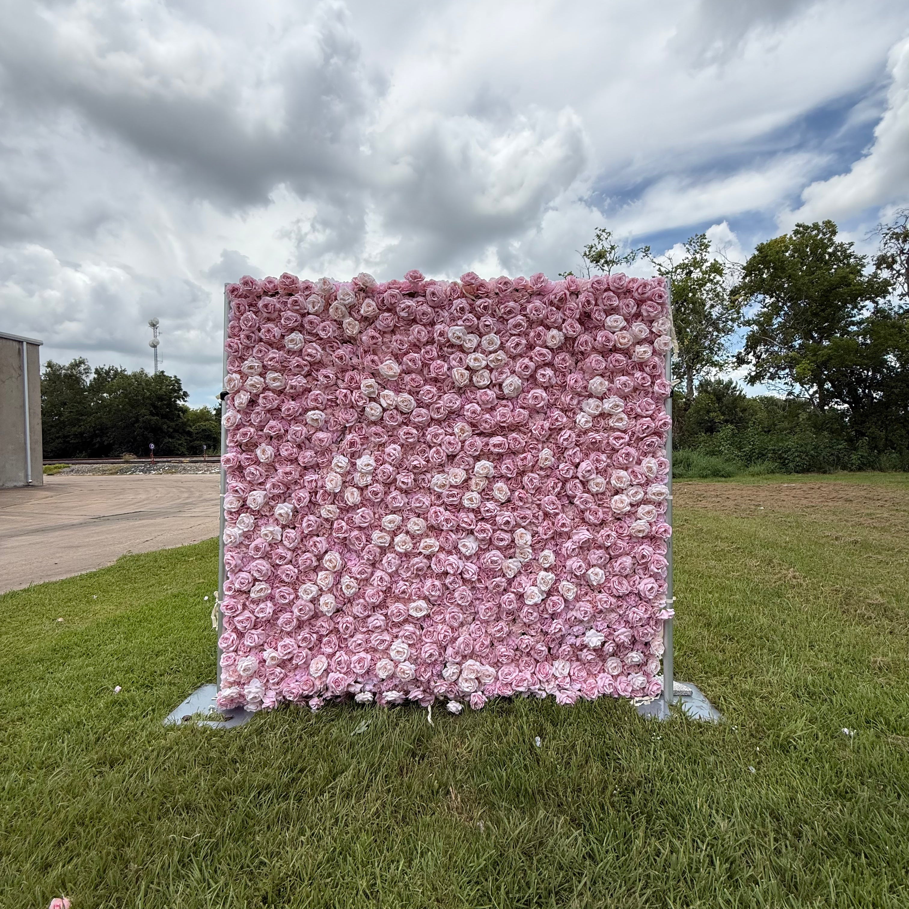 Blush & White Fragrant Rose Wall for Romantic Celebration